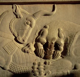 Um leão feroz atacando um touro, alívio da fachada norte da escada do Tripylon, 500-480 aC
